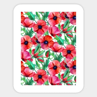 Plenty of Poppies – white Sticker